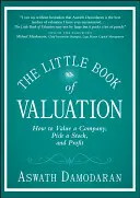 The Little Book of Valuation: How to Value a Company, Pick a Stock, and Profit