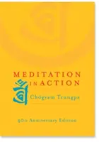 Meditația în acțiune - Meditation in Action