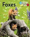 Vulpi - Phonics Phase 5 - Foxes - Phonics Phase 5