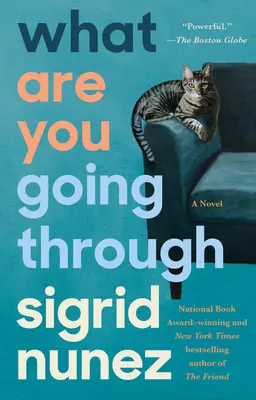 Prin ce treci tu - What Are You Going Through