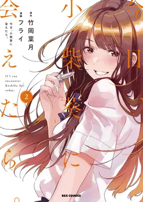 În căutarea lui Aoi Koshiba 2 - Chasing After Aoi Koshiba 2