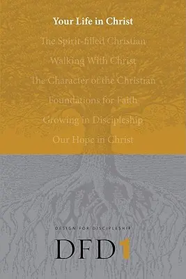 Viața ta în Hristos - Your Life in Christ