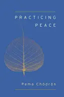 Practicarea păcii (Shambhala Pocket Classic) - Practicing Peace (Shambhala Pocket Classic)