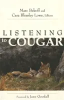 Ascultând Cougar - Listening to Cougar