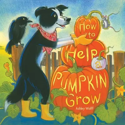 Cum să ajuți un dovleac să crească - How to Help a Pumpkin Grow