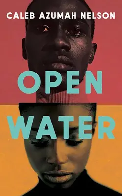 Apă deschisă - Open Water