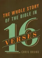 Întreaga poveste a Bibliei în 16 versete - The Whole Story of the Bible in 16 Verses