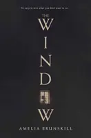 Fereastra - The Window