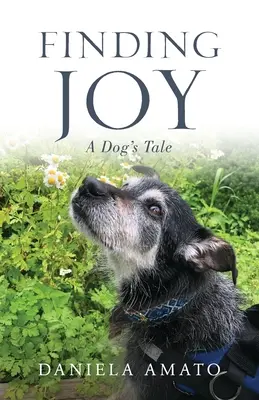 Găsirea bucuriei: Povestea unui câine - Finding Joy: A Dog's Tale