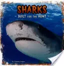 Rechini - construiți pentru vânătoare - Sharks - Built for the Hunt