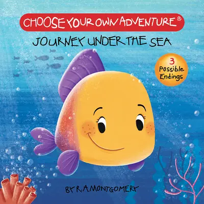 Călătorie sub mare (carte de bord) - Journey Under the Sea (Board Book)