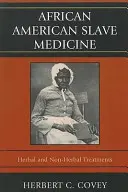 Medicina sclavilor afro-americani: Tratamente pe bază de plante și tratamente non-herbale - African American Slave Medicine: Herbal and non-Herbal Treatments