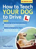 Cum să vă învățați câinele să conducă - How to Teach your Dog to Drive