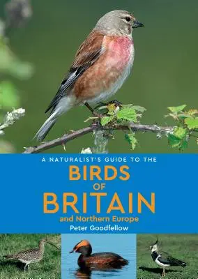 Ghidul naturalist al păsărilor din Marea Britanie și Europa de Nord (A Naturalist's Guide to the Birds of Britain & Northern Europe) - A Naturalist's Guide to the Birds of Britain & Northern Europe