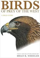 Păsările de pradă din vest: Un ghid de teren - Birds of Prey of the West: A Field Guide