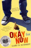 Bine pentru acum - Okay for Now
