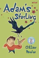 Steluța lui Adam - Adam's Starling