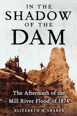În umbra barajului: Urmările inundației râului Mill din 1874 (In the Shadow of the Dam: The Aftermath of the Mill River Flood of 1874) - In the Shadow of the Dam: The Aftermath of the Mill River Flood of 1874