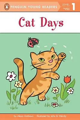 Zilele pisicii - Cat Days
