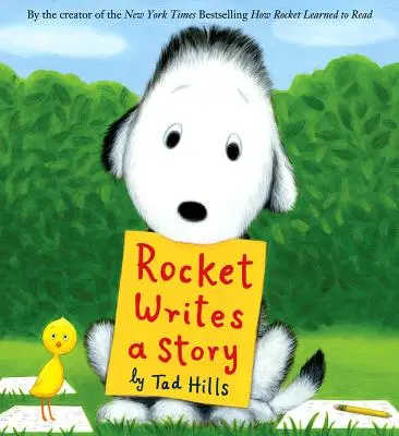 Racheta scrie o poveste - Rocket Writes a Story