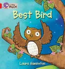Cea mai bună pasăre - Best Bird