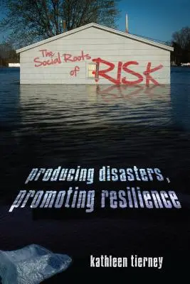 Rădăcinile sociale ale riscului: producerea dezastrelor, promovarea rezilienței - The Social Roots of Risk: Producing Disasters, Promoting Resilience