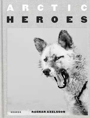 Eroi arctici: Un omagiu adus câinilor de sanie din Groenlanda - Arctic Heroes: A Tribute to the Sled Dogs of Greenland