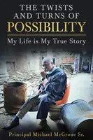Întorsăturile și întoarcerile posibilității: Viața mea este povestea mea adevărată - The Twists & Turns of Possibility: My Life is My True Story