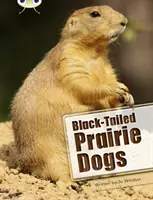 Bug Club Independent Non Fiction Anul doi Alb B Câini de preerie cu coadă neagră - Bug Club Independent Non Fiction Year Two White B Black-tailed Prairie Dogs