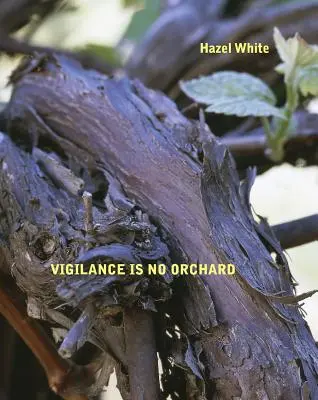 Vigilența nu este o livadă - Vigilance Is No Orchard
