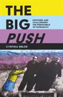 Big Push - Expunerea și contestarea persistenței patriarhatului - Big Push - Exposing and Challenging the Persistence of Patriarchy