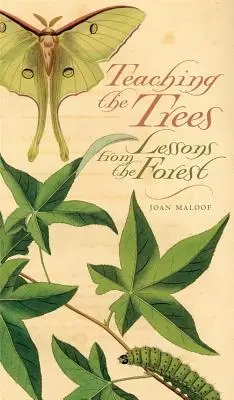 Teaching the Trees: Lecții din pădure - Teaching the Trees: Lessons from the Forest