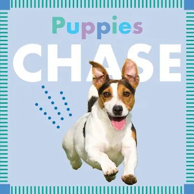Cățelușii urmăresc - Puppies Chase