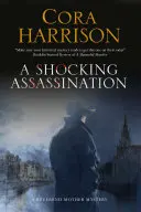 Un asasinat șocant - A Shocking Assassination