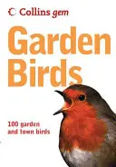 Păsări de grădină - Garden Birds