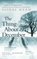Chestie despre decembrie - Thing About December