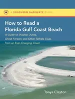Cum să citești o plajă din Florida Gulf Coast: Un ghid al dunelor umbrite, al pădurilor fantomă și al altor indicii revelatoare de pe o coastă în continuă schimbare - How to Read a Florida Gulf Coast Beach: A Guide to Shadow Dunes, Ghost Forests, and Other Telltale Clues from an Ever-Changing Coast