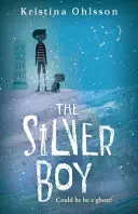 Băiatul de argint - Silver Boy