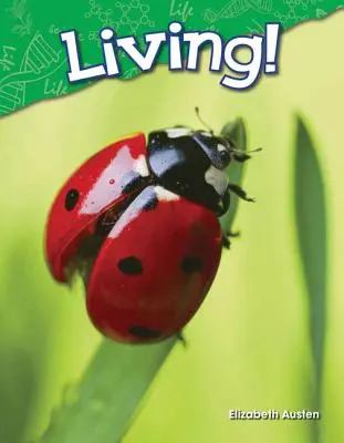 Viețile! - Living!
