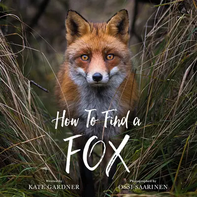 Cum să găsești o vulpe - How to Find a Fox