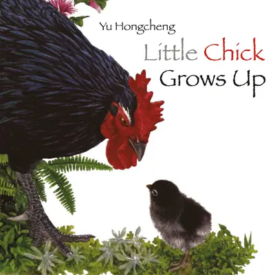 Puiul mic crește - Little Chick Grows Up