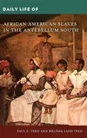 Viața de zi cu zi a sclavilor afro-americani în sudul antebelic - Daily Life of African American Slaves in the Antebellum South