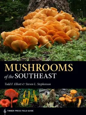 Ciupercile din sud-est - Mushrooms of the Southeast