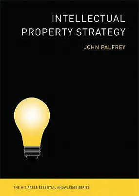 Strategia proprietății intelectuale - Intellectual Property Strategy