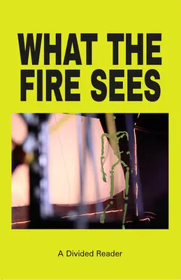 Ce vede focul: Un cititor divizat - What the Fire Sees: A Divided Reader