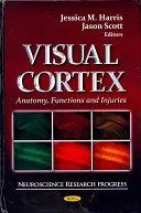 Cortexul vizual - anatomie, funcții și leziuni - Visual Cortex - Anatomy, Functions & Injuries