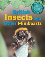 Natura în cartierul tău: Insecte britanice și alte minibeaste - Nature in Your Neighbourhood: British Insects and Other Minibeasts