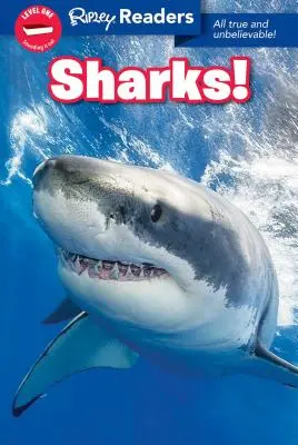 Ripley Readers Level1 Rechini, 1 - Ripley Readers Level1 Sharks, 1