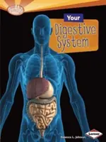 Sistemul tău digestiv - Your Digestive System