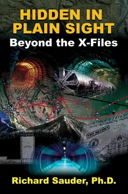 Ascuns în văzul tuturor: Dincolo de Dosarele X - Hidden in Plain Sight: Beyond the X-Files